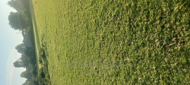 Gem Kilo Shopping Centre