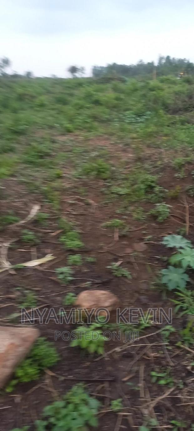 Alego Upanda Land for Farming.