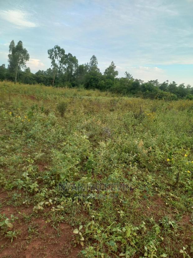 Behind Akala Catholic Church.
