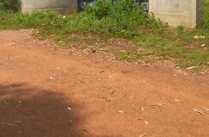 Busia Trailer Park Mundika