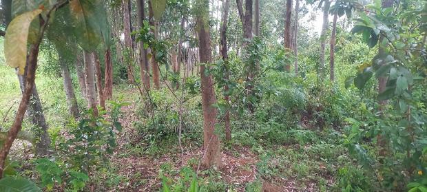 Gem Komuok 17 Acres