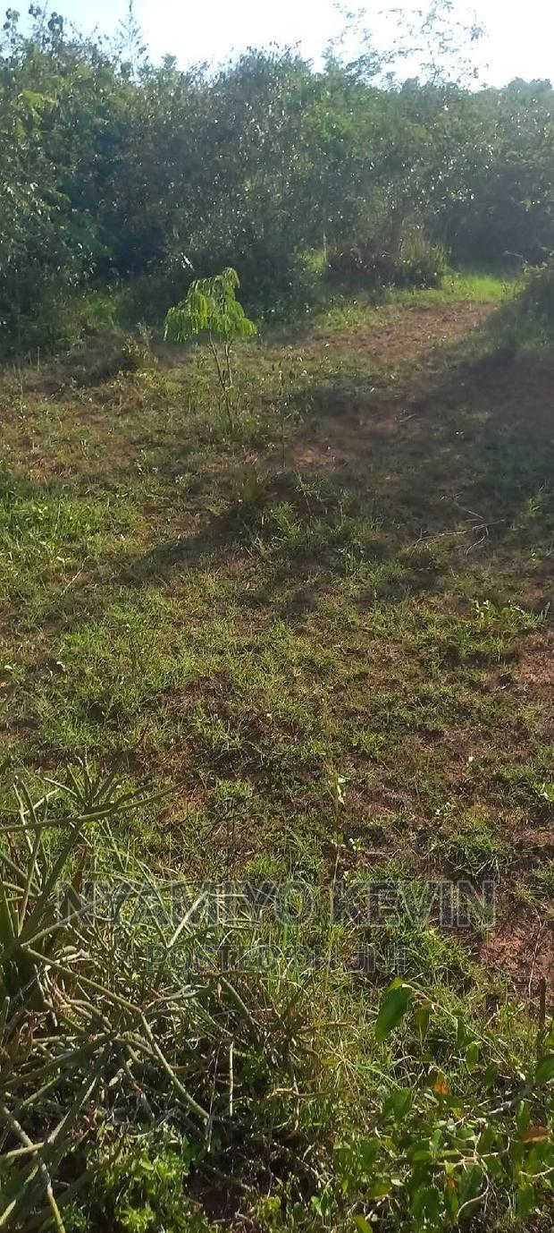 Sakwa Warianda