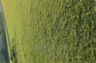 Gem Kilo Shopping Centre