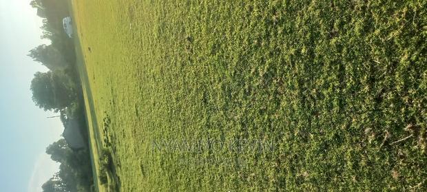 Gem Kilo Shopping Centre