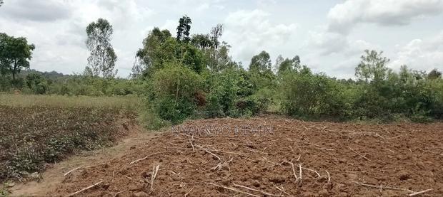 Alego Tingwang'i Near Ochiewa Primary School