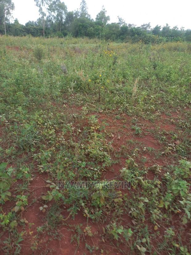 Behind Akala Catholic Church.