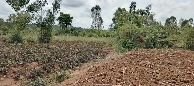 Alego Tingwang'i Near Ochiewa Primary School