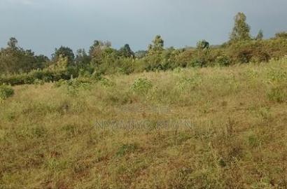 Behind Bondo Ardhi House