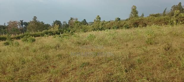 Behind Bondo Ardhi House