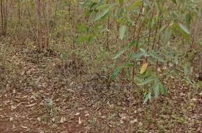 Land for Sale in Asembo Lela