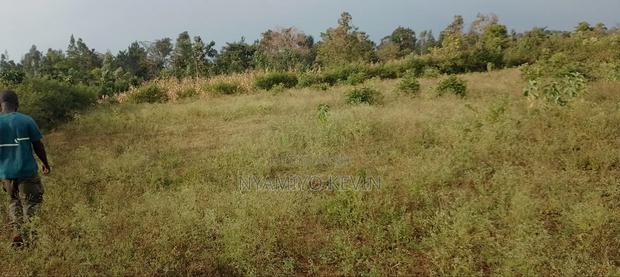 Behind Bondo Ardhi House