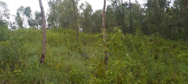 Gem Komuok 17 Acres
