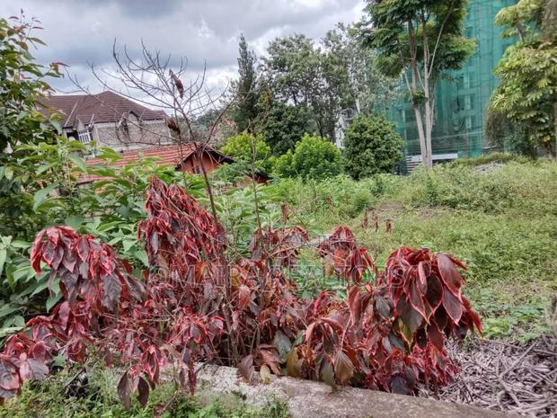Prime Westlands Land