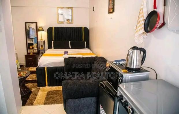 Furnished 1bdrm Bedsitter in Naka Estate for rent