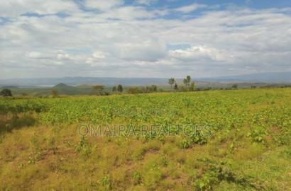 4 Acres on Sale Nakuru, Elemetaita.