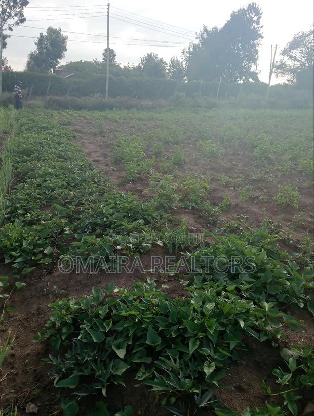Prime 50x100 Plot for Sale - Behind Shinners Girls, Nakuru