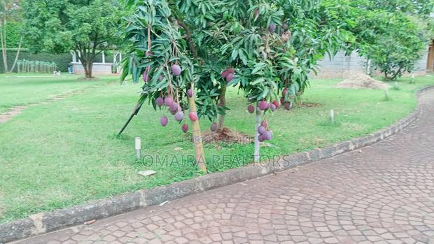 4bdrm Mansion in Runda for sale