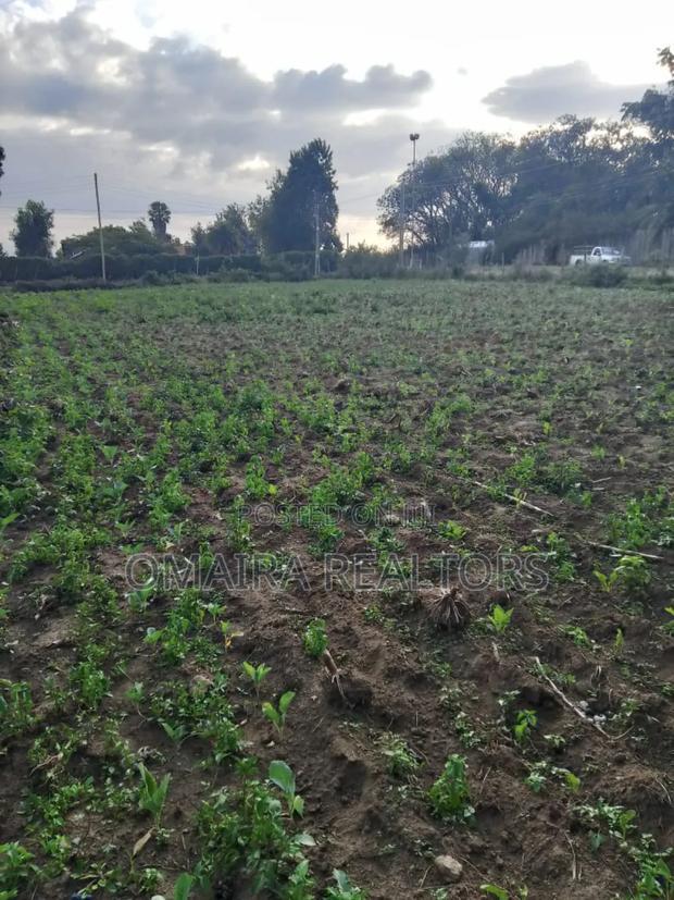 Prime 50x100 Plot for Sale - Behind Shinners Girls, Nakuru