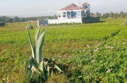 Prime 1/4 Plot at Lanet Nakuru Muwa Estate.