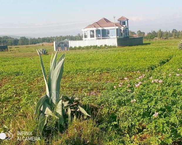 Prime 1/4 Plot at Lanet Nakuru Muwa Estate.