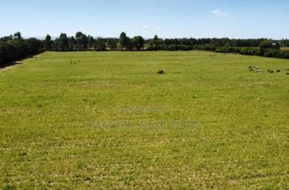 27 Acres, Nagata, Nakuru, 50/100 Plots Going