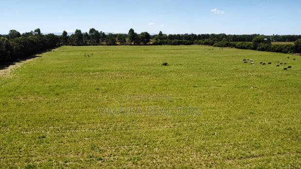 27 Acres, Nagata, Nakuru, 50/100 Plots Going