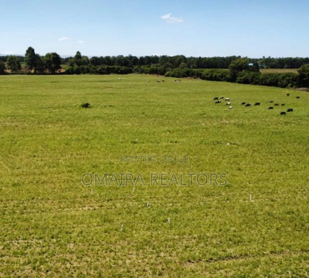27 Acres, Nagata, Nakuru, 50/100 Plots Going