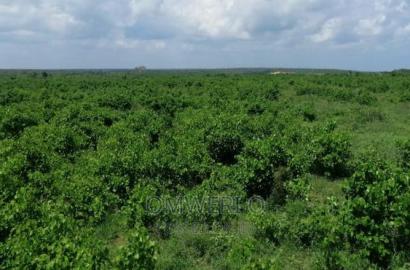 111 Acres for Sale Bomani Kilifi, Coastal Kenya