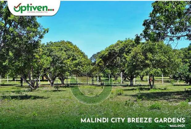 Malindi City Breeze Gardens