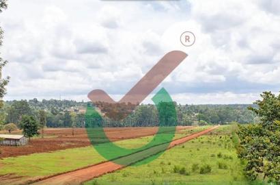 Vuyanzi Gardens In Kitale.