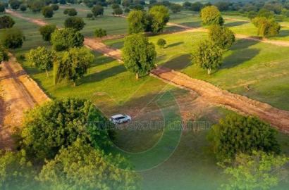 Vipingo Prime by Optiven