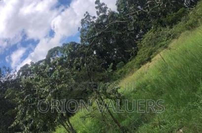 Oak Grove City - Juja's Premier Gated Community