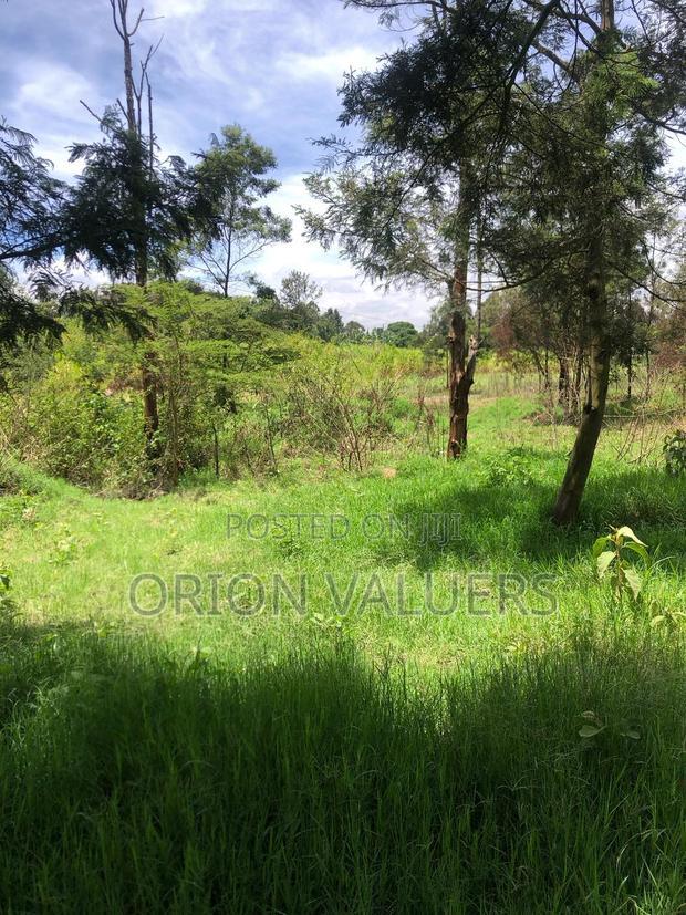 Prime Plots for Sale