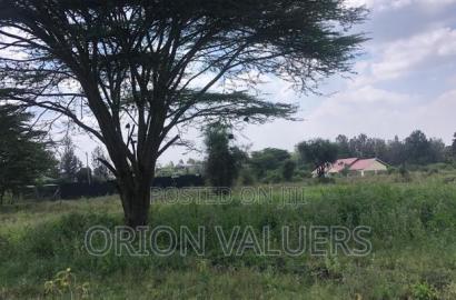 1/8 Acre Plots 8 Pieces