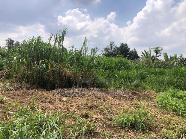 Prime Commercial Plot for Sale