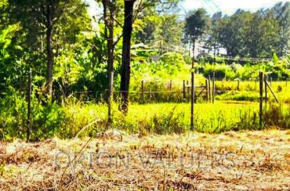 Prime 1/8 Acre Plot for Sale - Ruiru, Mugutha