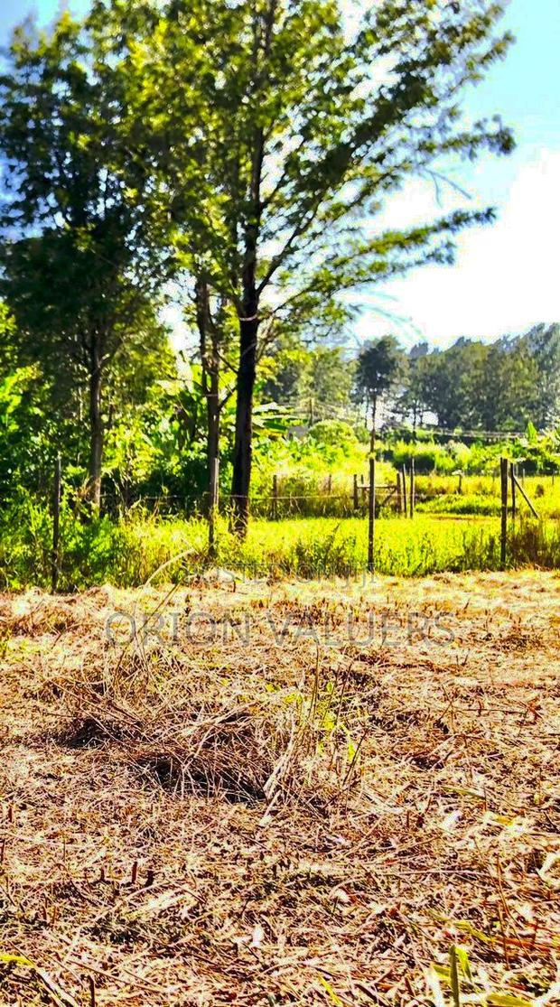 Prime 1/8 Acre Plot for Sale - Ruiru, Mugutha