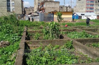 Prime Plot for Sale - Canopy Zimmerman