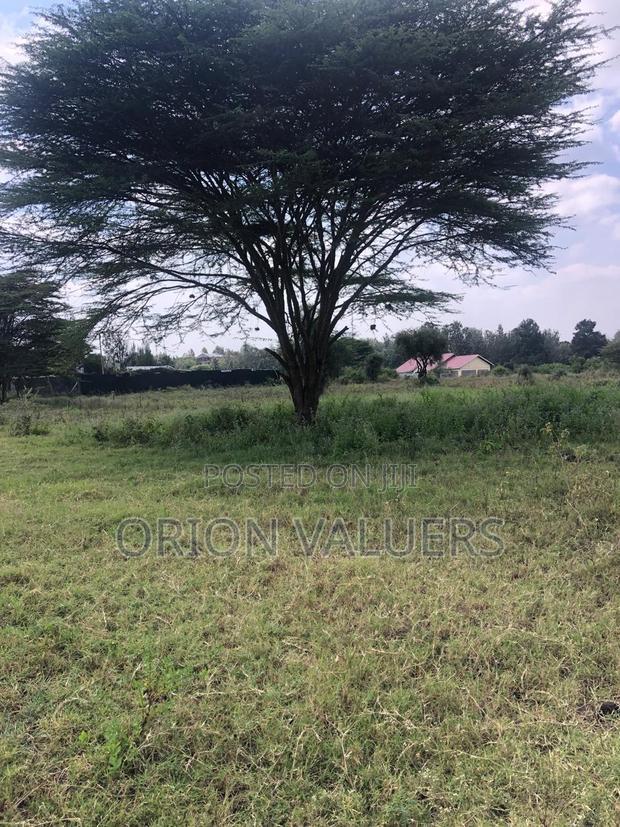 1/8 Acre Plots 8 Pieces