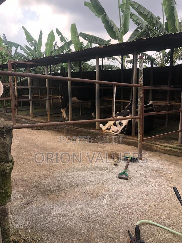 Prime Commercial Plot for Sale