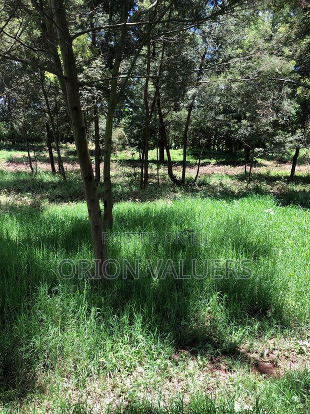 Prime Plots for Sale