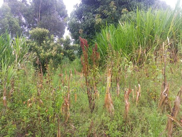 Limuru/Ngecha Plot for Sale Details