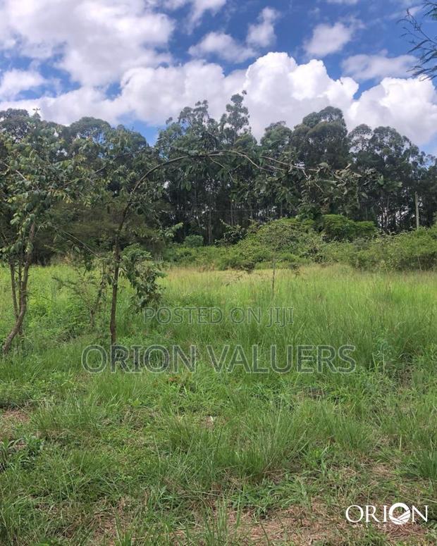 Oak Grove City - Juja's Premier Gated Community