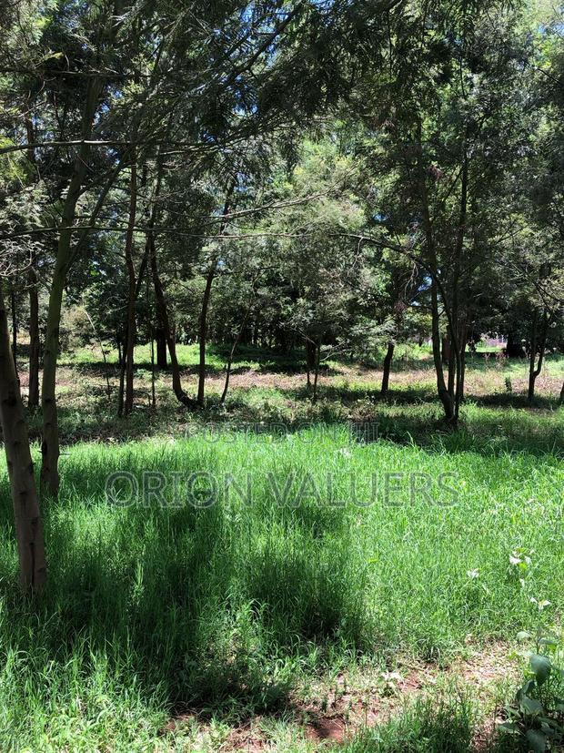 Prime Plots for Sale