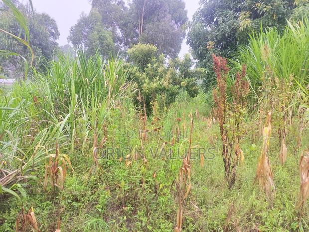 Limuru/Ngecha Plot for Sale Details