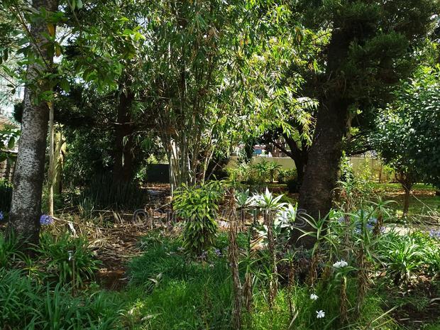 Prime Plot for Sale in Westlands Nairobi