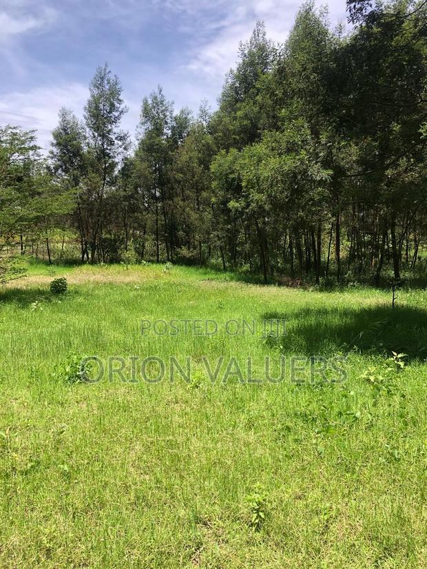 Prime Plots for Sale