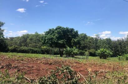 Prime Residential Plot in Njathaini Plot