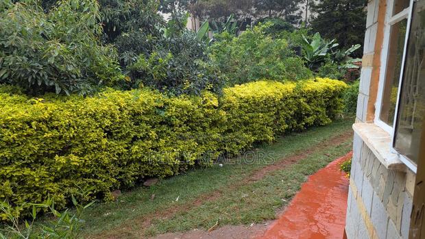 1bdrm House in Thindigua for rent