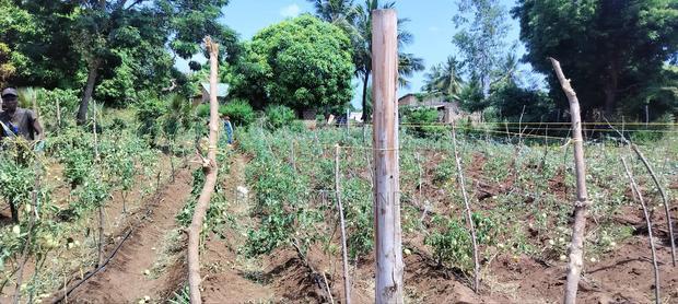 Kombani Kwale Ready Title 50X100 Plots at 1.3M